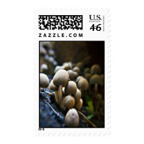 Toadstool Patch poatage stamps stamps