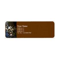 Toadstool Patch Return label (S) labels