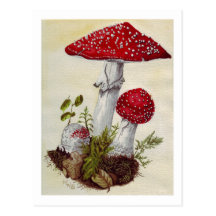 Toadstool Post Card