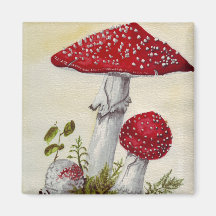 Toadstool Refrigerator Magnets