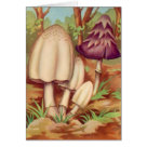 - Lovely vintage fruit and vegetables, some as still life art, with a wide assortment on cards and invitations.: Sizes 