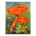 Toadstools 2 posters