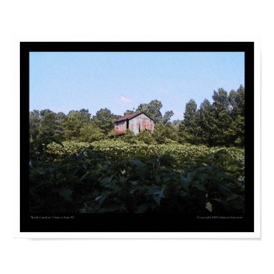 Tobacco Barn #2 Poster by jsweevil