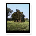 Tobacco Barn #3 posters by jsweevil Tobacco Barn #3 posters