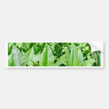 Tobacco field bumper stickers