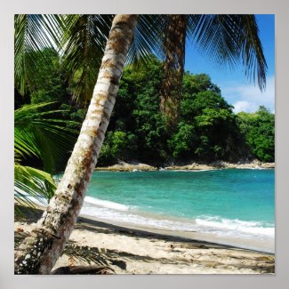 Tobago - island paradise poster