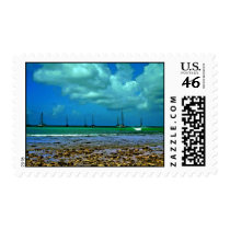 TOBAGO P.POINT t shirt postage