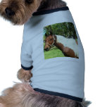 Tobiana Paint Doggie Tee