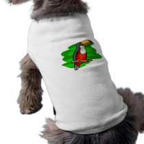 Tobias Toucan pet clothing