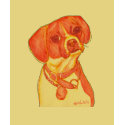 Tobie t-shirts