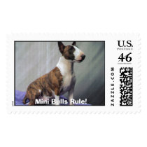 toby 1-06, Mini Bulls Rule! postage by yferrell toby 1-06, Mini Bulls Rule! postage