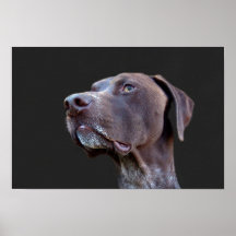 Toby Canvas Posters