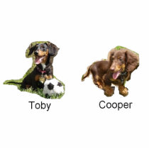 Toby & Cooper Photo Sculpture photo sculptures
