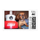 Toby Mac Stamp