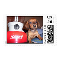 Toby Mac postage by Girl4Christ23 Toby Mac postage