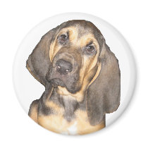 Toby magnets by MisterJones1950 Toby magnets