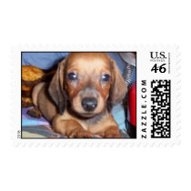 Toby postage