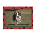 tobyxmascard, Merry Christmas!! postcards by l_money tobyxmascard, Merry Christmas!! postcards