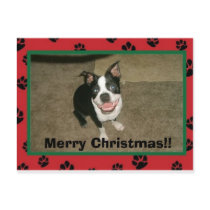 tobyxmascard, Merry Christmas!! postcards