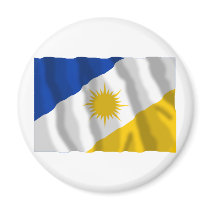 Tocantins, Brazil Waving Flag Fridge Magnet