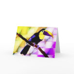 Toco toucan cards