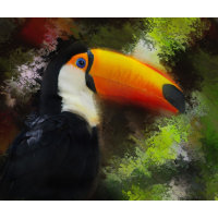 Toco Toucan mousepad