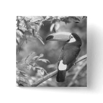 TOCO TOUCAN PHOTO BLACK AND WHITE buttons by VoXeeD TOCO TOUCAN PHOTO BLACK AND WHITE buttons