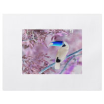 TOCO TOUCAN PHOTO COLOR NEGATIVE flyers