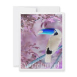 TOCO TOUCAN PHOTO COLOR NEGATIVE PERSONALIZED INVITATIONS