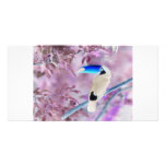 TOCO TOUCAN PHOTO COLOR NEGATIVE CUSTOM PHOTO CARD