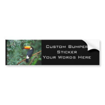 TOCO TOUCAN PHOTO FULL COLOR BUMPER STICKERS