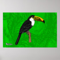 Toco Toucan Posters