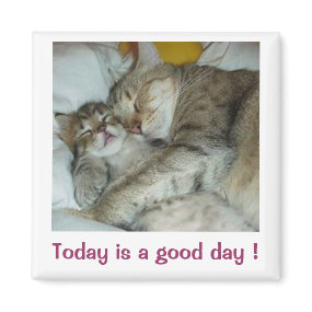 Today is a good day ! Cats Magnet magnet