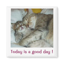 Today is a good day ! Cats Magnet