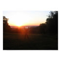 Today is a New Beginning posters
