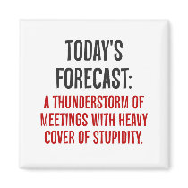 Today is going to be full of meetings (2) magnets