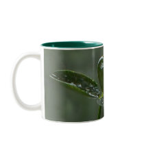 Today Rain mugs