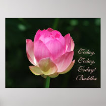 Today today today by Buddha Print