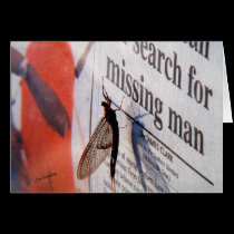 Today's News cards