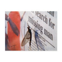 Today's News postcards by bhbphotos Today's News postcards