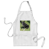 todd aprons