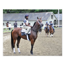 Todd Pletcher Filly Art Photo