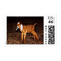 Toddling postage by china_sky Toddling postage