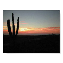 Todo Santos Cactus Sunset posters
