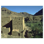 Todra Gorge oasis, Morocco Desert flyers