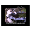 Toe In (Cat) Fine Art Print