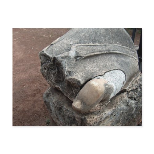 Toe of Statue in Roman Ruins postcard