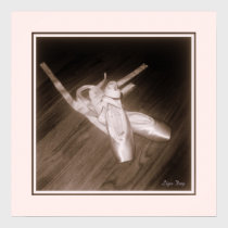 'Toe Shoes' Panel Print (Rose) posters