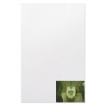 Toe Tap Toilet stationery