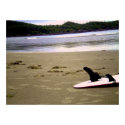 Tofino Beach posters
